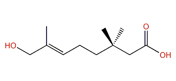 (3S)-8-Hydroxycitronellic acid